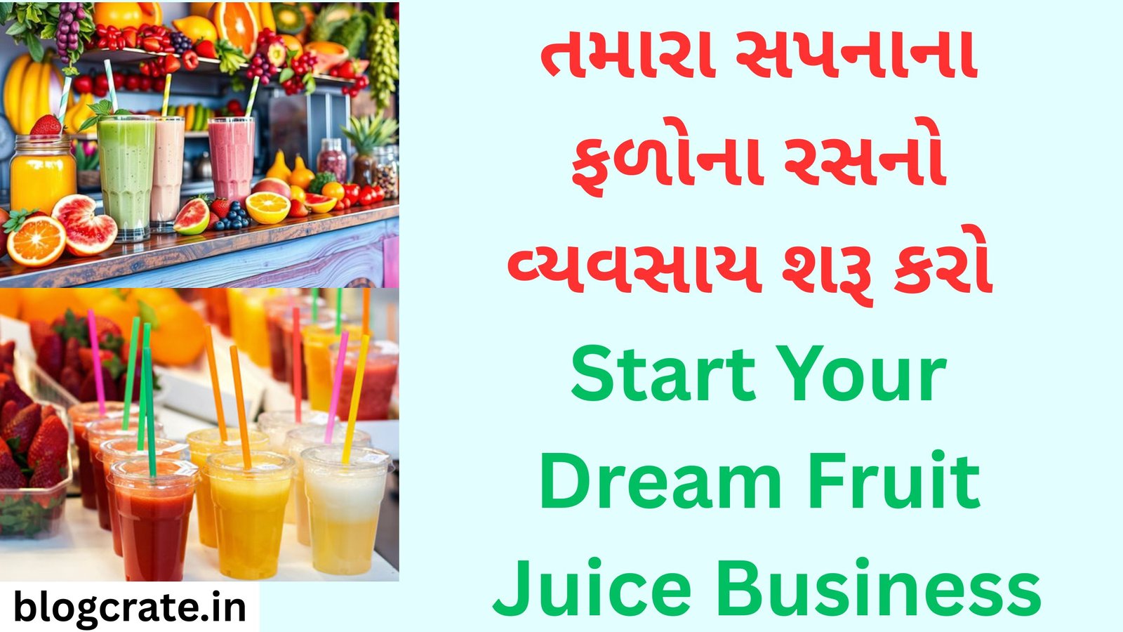 Start Your Dream Fruit Juice Business